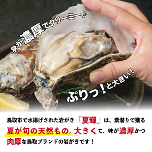 鳥取賀露港 天然岩がき「夏輝」セット【かねまさ・浜下商店】