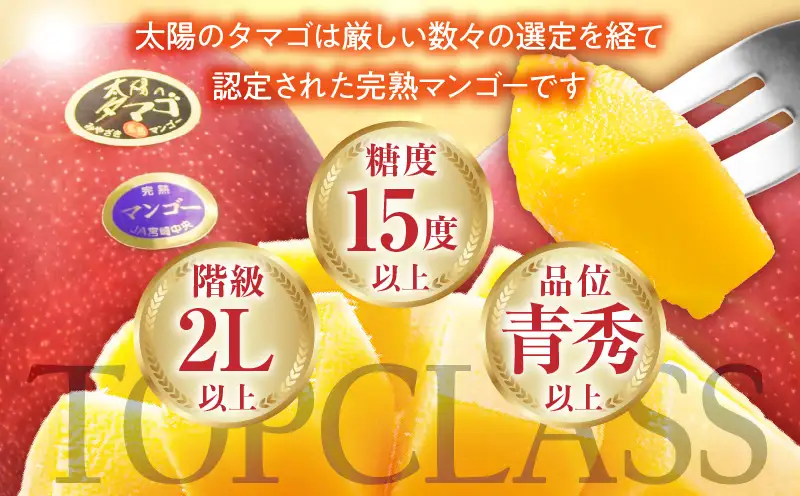 【2026年発送】【数量限定】宮崎県産 太陽のタマゴ A等級 4Lサイズ×2玉（合計約1kg）