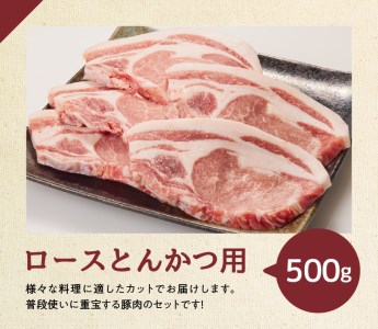 宮崎県産豚肉バラエティ4種2.5kg 豚肉