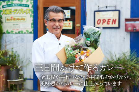 【全12回定期便】旬野菜×手作りカレーセット  /ヒロファミリーフーズ[AGBX027] カレー 定期便