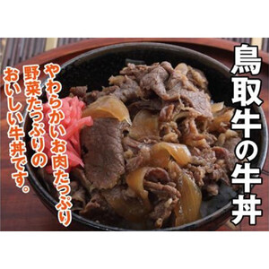 とりちく牛丼の素・鳥取ビーフハンバーグ詰め合わせ