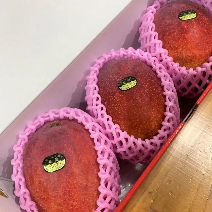 2026年 先行予約 奄美完熟マンゴー 化粧箱 約1kg(2～3玉入り) 農家直送 マンゴー