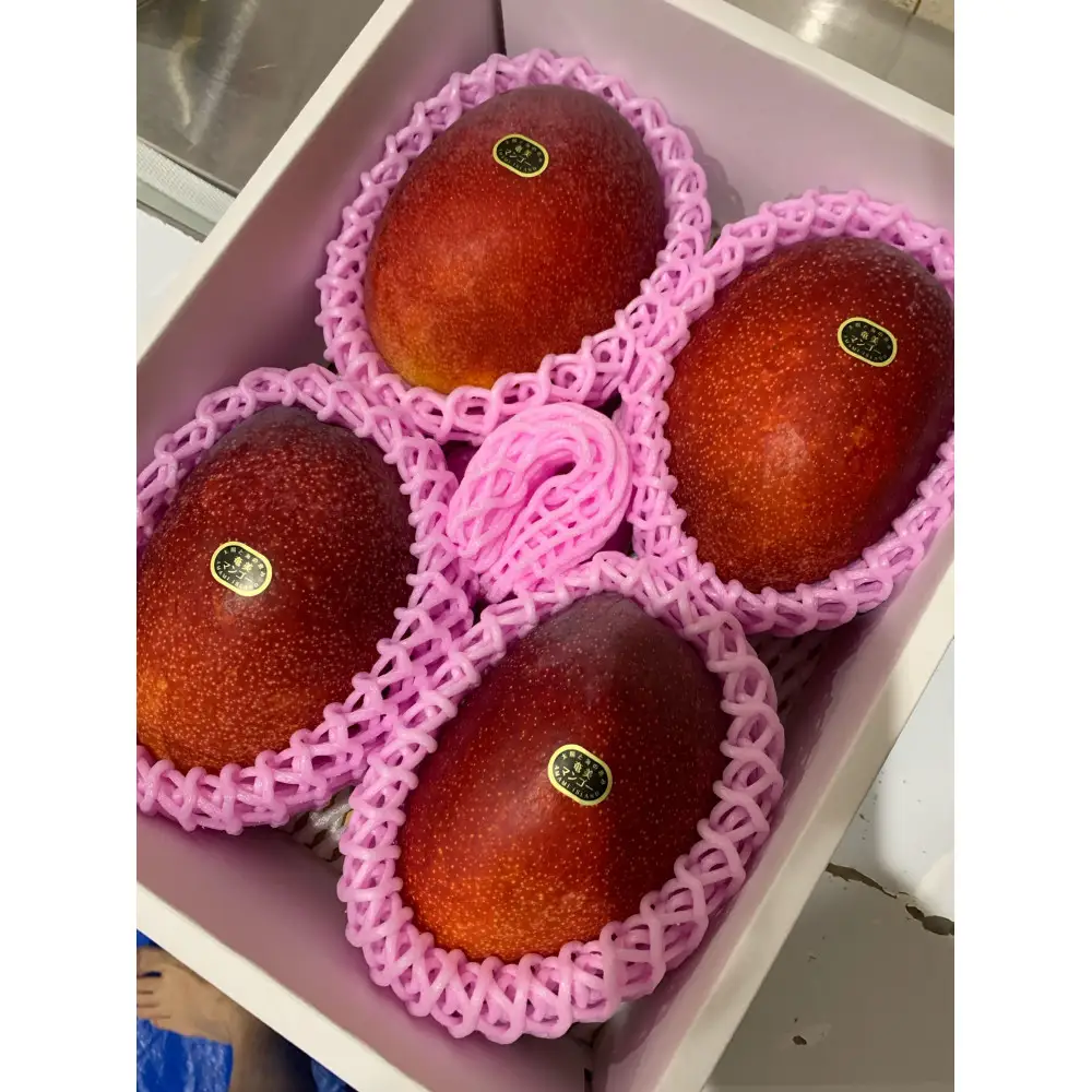 【2026年 先行予約】奄美完熟マンゴー 化粧箱 約2kg(4～6玉入り) 農家直送！