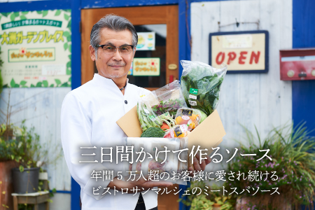 【全6回定期便】サラダ野菜×ミートソース /ヒロファミリーフーズ[AGBX030] 野菜 サラダ