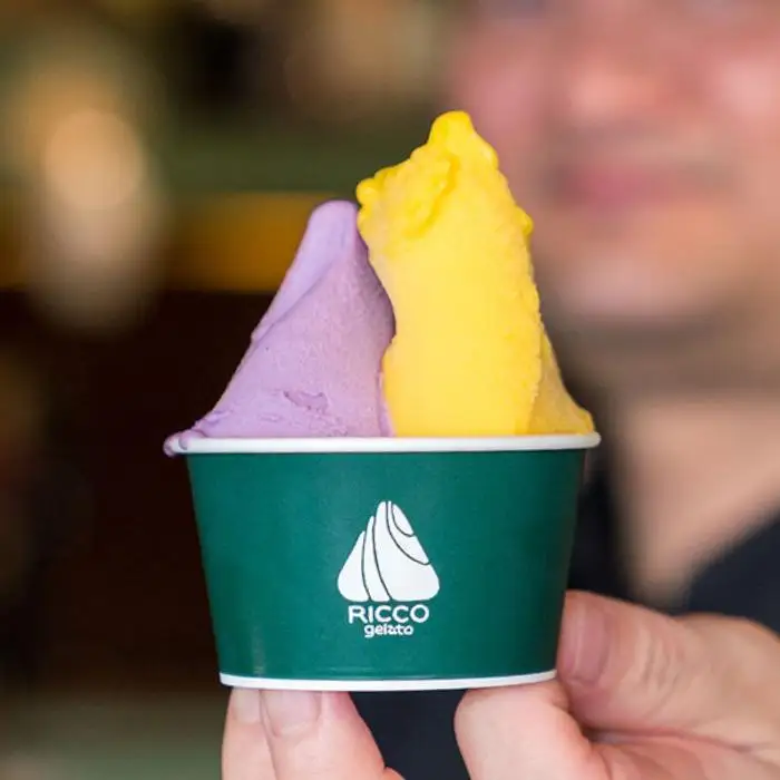 [宮古島] 素材が輝く RICCOジェラート12個セット | トロピカル 夏ギフト お中元 夏 クリスマス アイス 詰め合わせ セット ジェラート おやつ お菓子 スイーツ 母の日（C101）