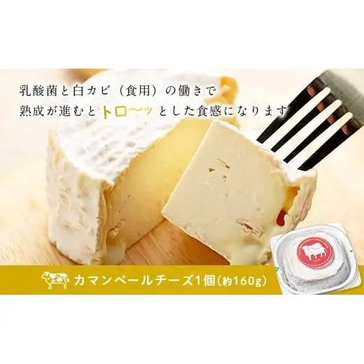 カマンベールチーズ「畑ぬ月」Pari nu Tuki（CJ05）