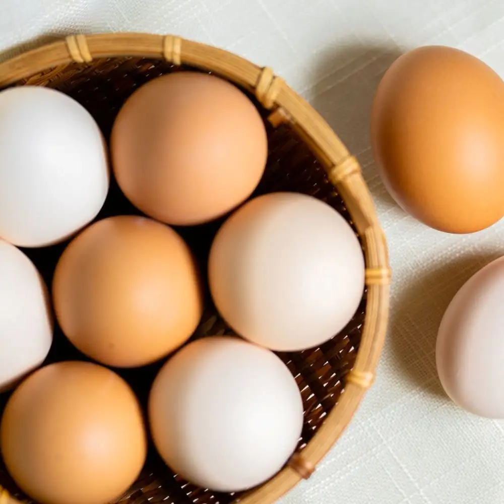 【安心・安全な京都の卵】京地玉もみじ30個入り＜京都　西田養鶏場＞