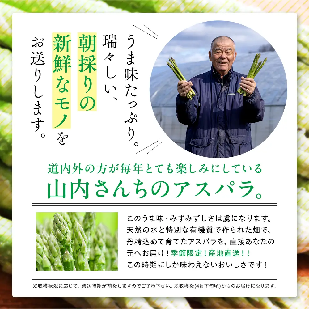 【先行受付】R8年産 アスパラガス 1kg 山内農園 | グリーンアスパラ グリーンアスパラガス アスパラ 大容量 野菜 春野菜 朝採れ 新鮮 極太 国産 サラダ 天ぷら 炒め物 家庭用 数量限定 旬 特産 産地直送 北海道 津別町 送料無料
