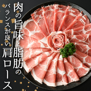 豚肉 鹿児島 黒豚 しゃぶしゃぶ セット 計800g 豚肉 【ナンチク】A2-v01