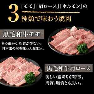 鹿児島県産 黒毛和牛 焼き肉セット (ロース モモ 国産牛ホルモン 各200g 計600g) 【ナンチク】A6-v01