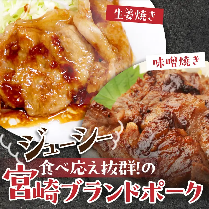 豚肉 セット 豚肉[宮崎ブランドポーク 生姜焼き・味噌焼き 100g以上×10P]