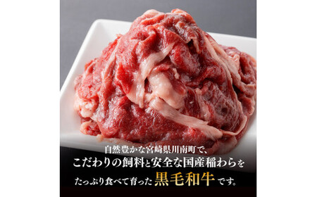 宮崎県産黒毛和牛切り落とし300g 【 牛肉 牛 肉 黒毛和牛 切り落とし 牛丼 】