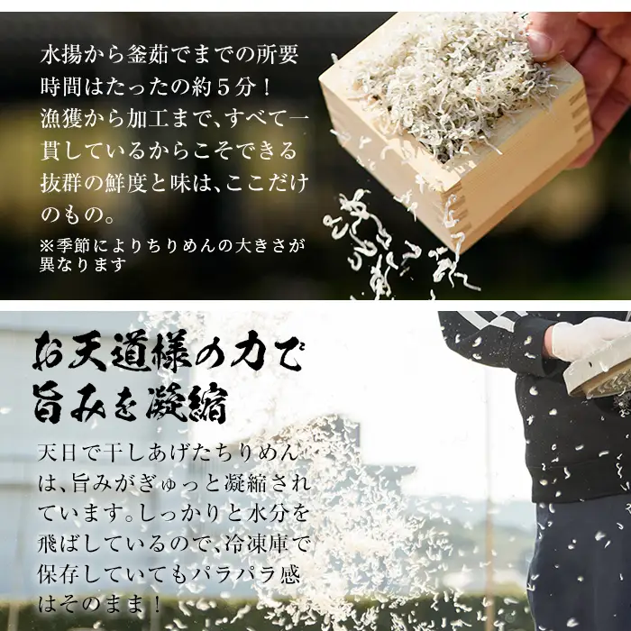 天日干し ちりめん 約400g 小分け ちりめん【00-007-01】