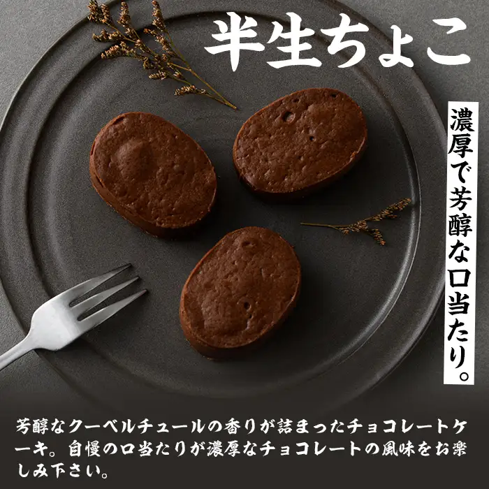 ひとくちチョコケーキの決定版！ 半生チョコケーキ20個（10個×2箱）【00-014-01】