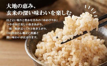 定期便 6ヵ月連続6回 北海道産 ゆめぴりか 玄米 3kg×2袋 計6kg 小分け 米 特A 国産 ごはん グルメ 食物繊維 ヘルシー お取り寄せ 備蓄 長期保存 プレゼント 贈答 ギフト ようてい農業協同組合 ホクレン 送料無料 北海道 倶知安町 6ヶ月 