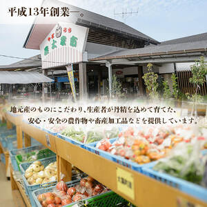 お芋 さつまいも 冷麺 セット 焼き芋 干し芋 【やごろう農土家市】 A89-v01