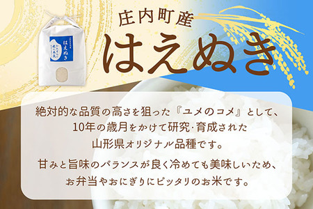 渡會さんのうまい米！はえぬき 10kg 5kg×2袋 令和7年産 2025年産 ブランド米 コシヒカリの原点、亀の尾発祥の地 庄内【1028-023I】