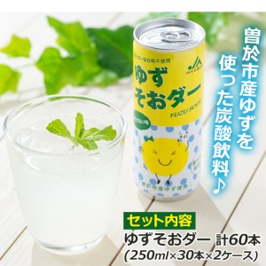 炭酸飲料 ゆずそおダー (計60本) ソーダ ジュース【ファーマーズマーケットそお太くん市場】A97-v01