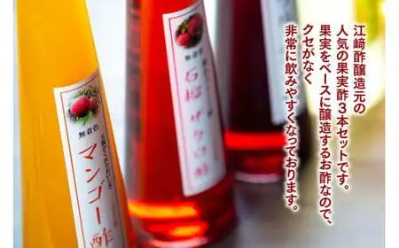 ＜江﨑酢醸造元＞果実酢3本セット(マンゴー、ブルーベリー、ザクロ)　042-021