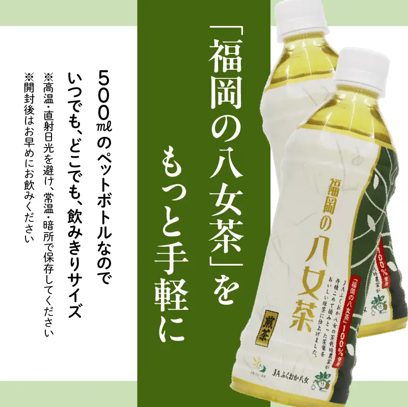 【産地直送】福岡の八女茶 煎茶ペットボトル（500ml×24本） 026-011