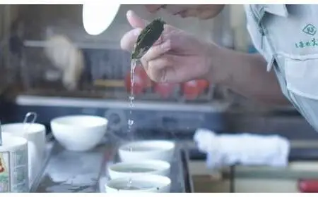 【お茶の光玉園】八女煎茶 100g×３本セット　049-004