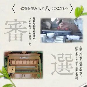 【お茶の光玉園】八女煎茶 100g×5本セット お茶 煎茶 緑茶 茶葉 八女茶 ギフト プレゼント 手土産 贈答用 福岡県 八女市 049-005