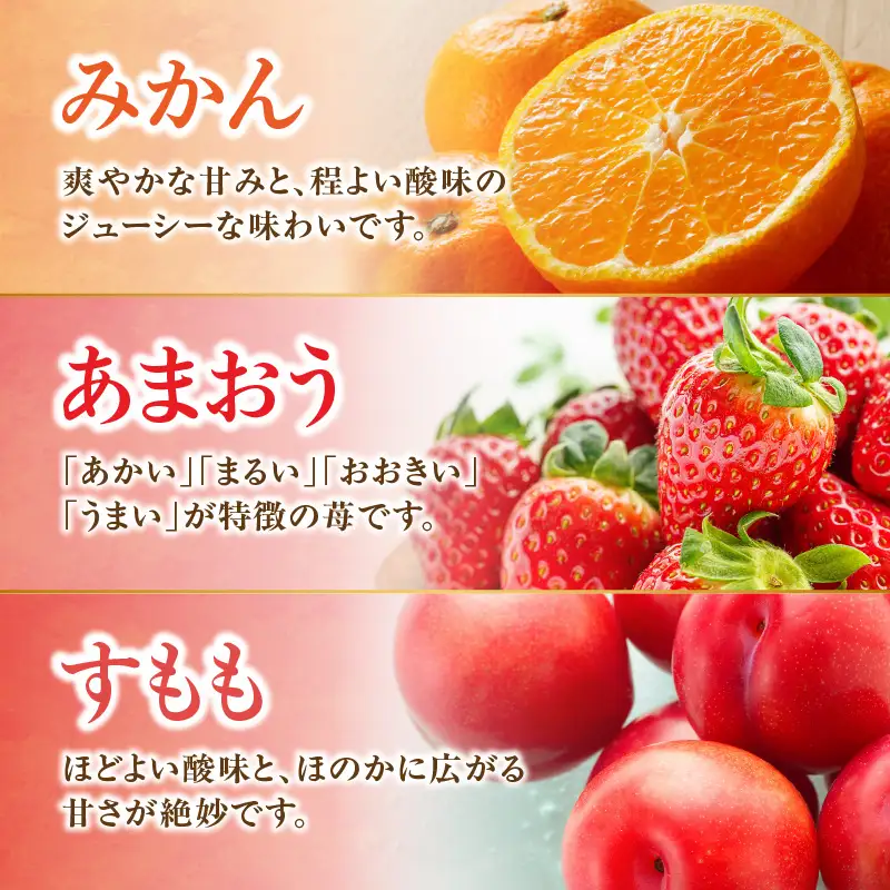 九州・福岡フルーツ王国八女 旬のフルーツ定期便【全3回】B ＜配送不可：北海道・沖縄・離島＞ フルーツ 定期便 あまおう みかん すもも 季節のフルーツ 果物 おすすめ セット 産地直送 福岡県 八女市 072-T002