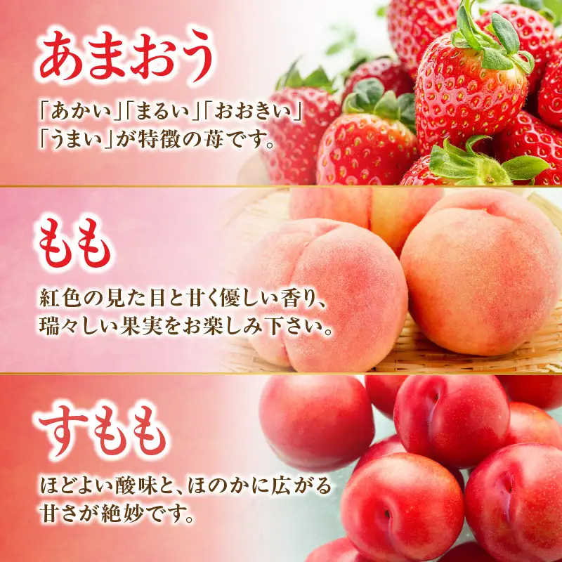 九州・福岡フルーツ王国八女 旬のフルーツ定期便【全3回】C ＜配送不可：北海道・沖縄・離島＞