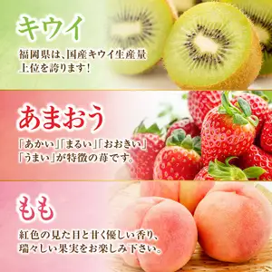 九州・福岡フルーツ王国八女 旬のフルーツ定期便【全3回】D ＜配送不可：北海道・沖縄・離島＞ フルーツ 定期便 あまおう もも キウイ 季節のフルーツ 果物 おすすめ セット 産地直送 福岡県 八女市 072-T004