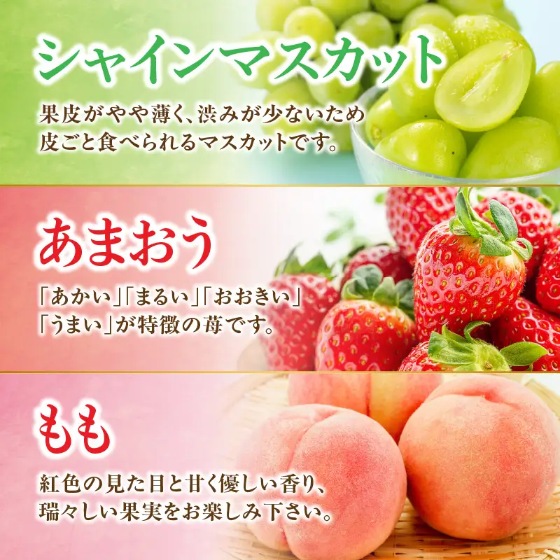 九州・福岡フルーツ王国八女 旬のフルーツ定期便【全3回】F ＜配送不可：北海道・沖縄・離島＞ フルーツ 定期便 あまおう シャインマスカット もも 季節のフルーツ 果物 おすすめ セット 産地直送 福岡県 八女市 072-T006