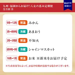 九州・福岡からお届け！お楽しみ八女の恵み定期便【全5回】 B｜配送不可：北海道・沖縄・離島　072-T033