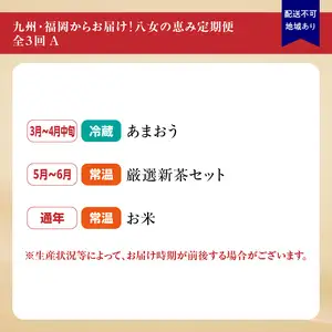 九州・福岡からお届け！八女の恵み定期便【全３回】 A｜＜配送不可：北海道・沖縄・離島＞　072-T034