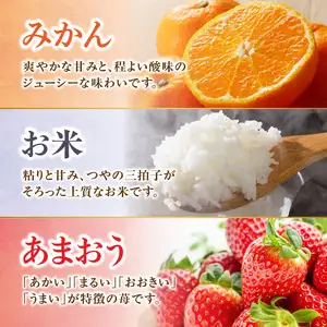 九州・福岡からお届け！八女の恵み定期便【全３回】 B｜＜配送不可：北海道・沖縄・離島＞　072-T035