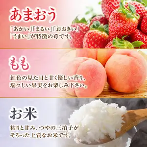 九州・福岡からお届け！八女の恵み定期便【全３回】 C｜＜配送不可：北海道・沖縄・離島＞　072-T036
