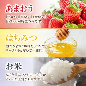 九州・福岡からお届け！八女の恵み定期便【全３回】 E｜＜配送不可：北海道・沖縄・離島＞　072-T038