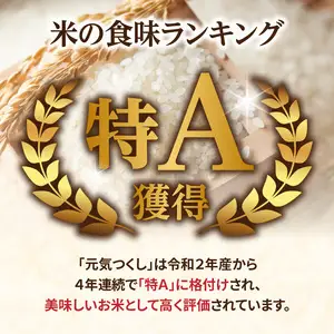 九州・福岡からお届け！ブランド米「元気つくし」定期便【全12回】 お米 米 コメ 白米 特A 直送 お弁当 おにぎり 炊きたて ツヤ 粘り もちもち 弾力 卵かけご飯 福岡県 八女市 072-T072