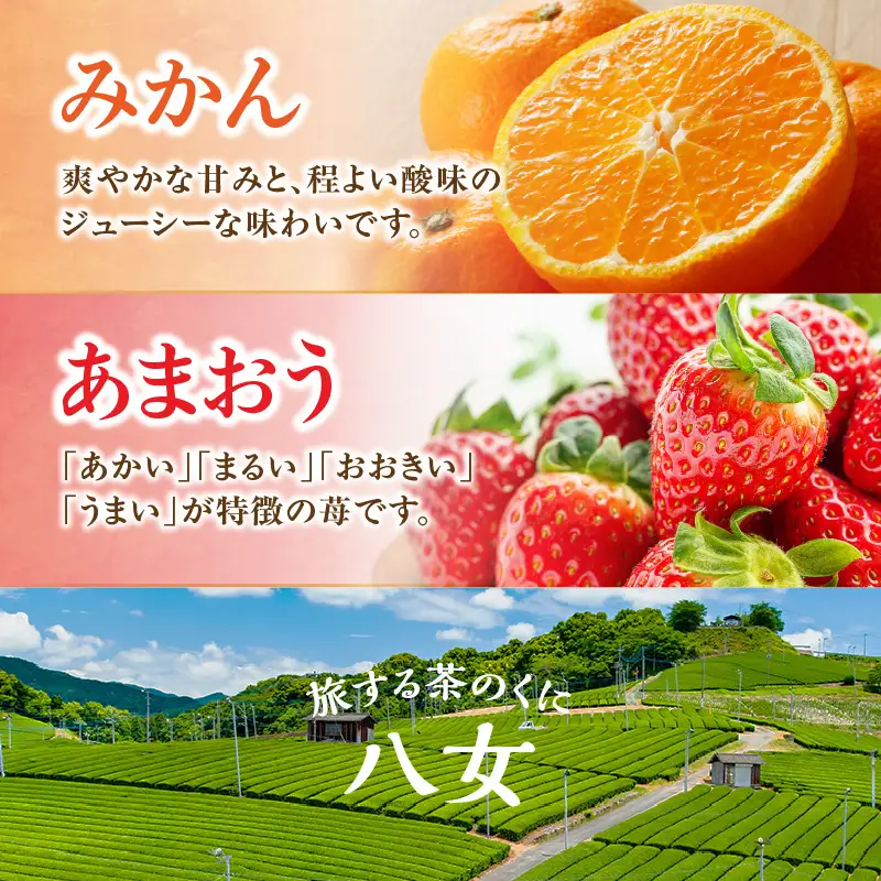 九州・福岡フルーツ王国八女 お試し旬のフルーツ定期便【全2回】A＜配送不可：北海道・沖縄・離島＞ フルーツ 定期便 あまおう みかん いちご 蜜柑 オレンジ 果物 福岡県 八女市 072-T015