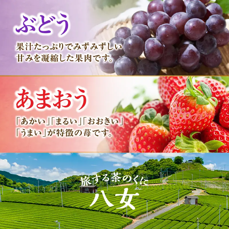 九州・福岡フルーツ王国八女 お試し旬のフルーツ定期便【全2回】D＜配送不可：北海道・沖縄・離島＞ フルーツ 定期便 ぶどう あまおう いちご 果物 福岡県 八女市 072-T017