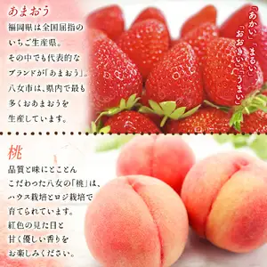 九州・福岡フルーツ王国八女　お試し旬のフルーツ定期便【全２回】 E｜＜配送不可：北海道・沖縄・離島＞ あまおう 苺 いちご イチゴ もも 桃 モモ 果物 くだもの フルーツ 定期便 デザート 旬 もぎたて 直送 福岡県 八女市 072-T018