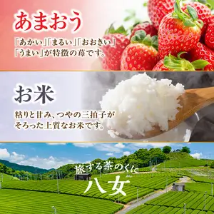 九州・福岡からお届け！八女の恵み定期便お試し【全2回】A　＜配送不可：北海道・沖縄・離島＞　072-T041