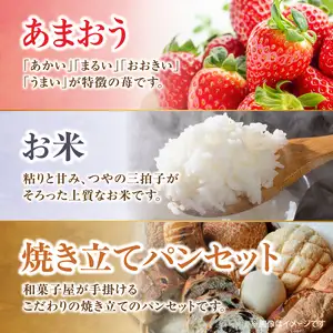 九州・福岡からお届け！八女の恵み定期便【全3回】H　＜配送不可：北海道・沖縄・離島＞　072-T040