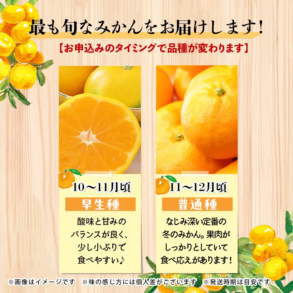 【先行受付】九州・福岡フルーツ王国八女 産地直送！旬のみかん 約10kg【2026年10月～12月頃発送】＜配送不可：北海道・沖縄・離島＞ みかん 旬 早生 レギュラー No.1 産地直送 福岡県 八女市 072-002