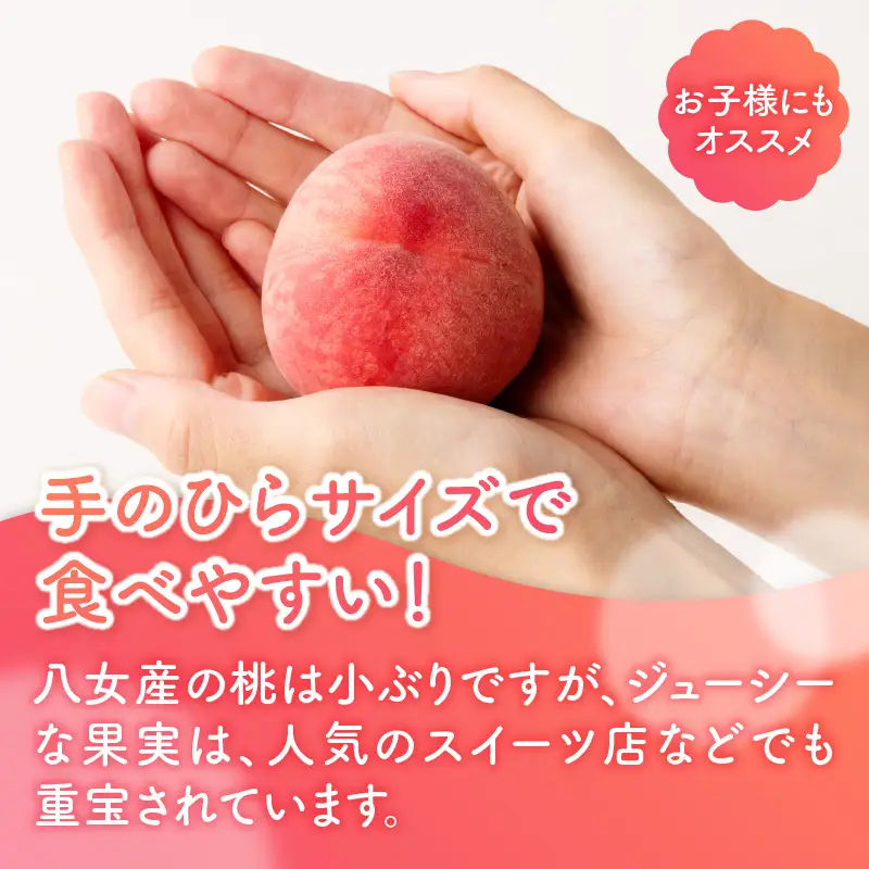 【2026年5月下旬～6月発送】九州・福岡フルーツ王国八女から直送！桃 8玉入り＜配送不可：北海道・沖縄・離島＞ 県 八桃 もも モモ フルーツ くだもの 果物 産地直送 ジューシー 家庭用 自宅用 家族団らん デザート スイーツ作り 福岡女市 072-164