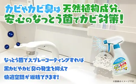 カビ取りなっとう君スプレー３本セット　072-009