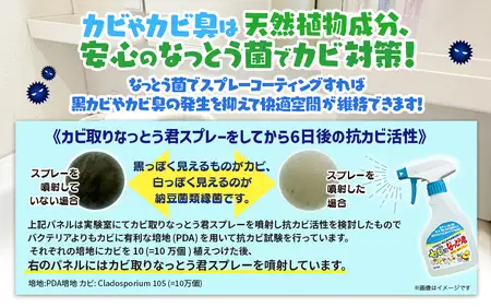 なっとう君　3点セット【消臭剤・カビ取りスプレー】　072-010