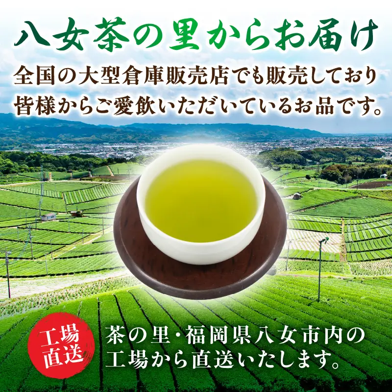 創業200年の老舗・古賀製茶本舗 九州八女工場直送お徳用煎茶1.2kg お茶 茶 八女茶 日本茶 煎茶 産地直送 たっぷり 大容量 チャック付き 福岡県 八女市 072-017