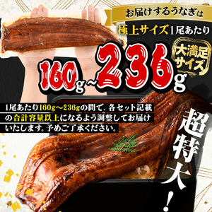 うなぎ 無投薬 蒲焼 きざみ 鹿児島県産  ＜極上＞ (160g～236g×7尾・きざみ50g×10袋) うなぎ 【西日本養鰻】D12-v02