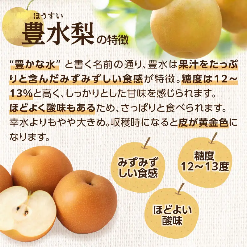 【先行受付】豊水梨（5kg）【ＪＡふくおか八女】｜8月中旬～発送予定  糖度12～13% なし 梨 ナシ 豊水梨 豊水 福岡 4L〜2Lサイズ 産地直送 期間限定 甘い みずみずしい 果物 果実 フルーツ デザート 旬 002-009