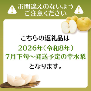 【先行受付】幸水梨（5kg）【ＪＡふくおか八女】｜2026年7月下旬～発送予定 梨 幸水梨 2026年予約 先行受付 光センサー 002-010
