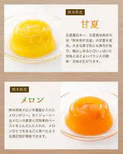 日本の果実フルーツゼリー セット12個 甘夏 トマト タンカン メロン ブルーベリー 新高梨 ギフト 洋菓子 福岡県 八女市 007-001